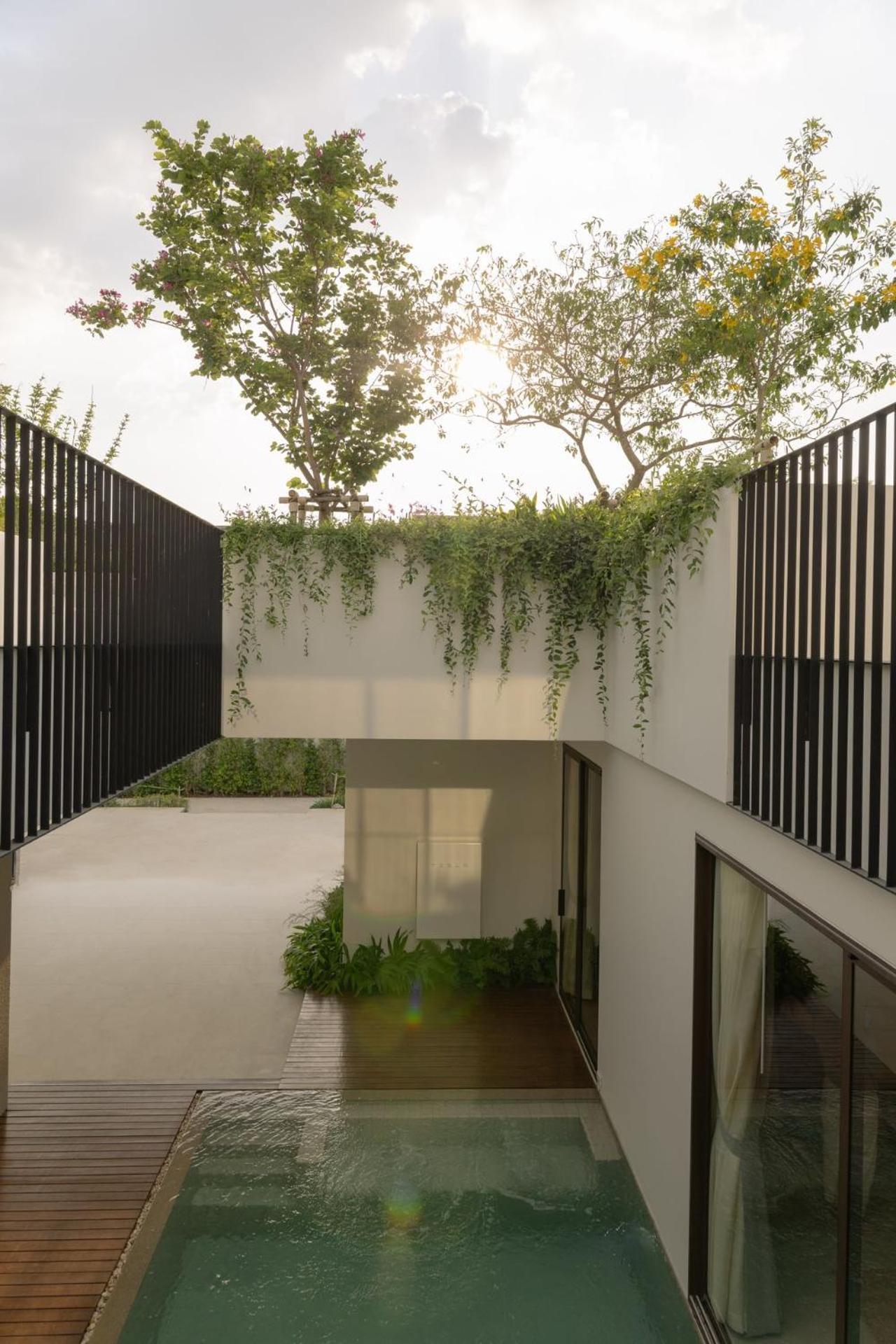 Tree O'Clock Pool Villa - Phuket ถลาง ห้อง รูปภาพ