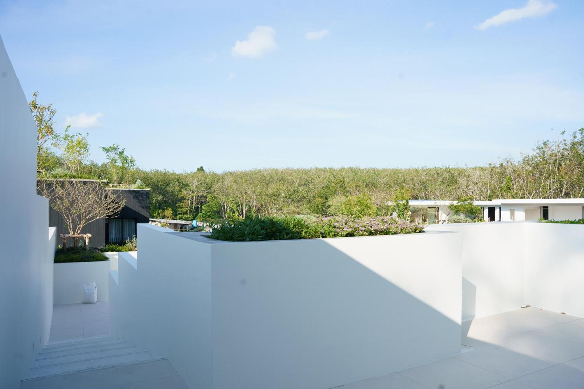 Tree O'Clock Pool Villa - Phuket ถลาง ห้อง รูปภาพ